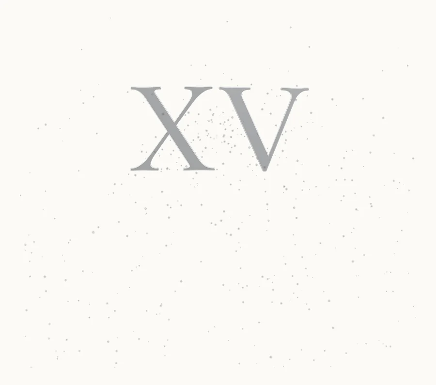 Las letras XV en plata, de canto, sobre el fondo hueso